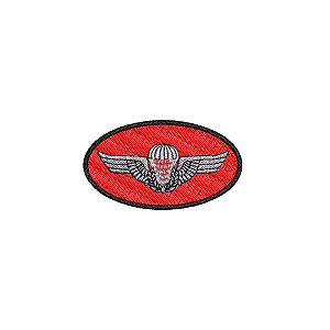 Patch Bordado elipse paraquedista PRECURSOR 8 x 4,5 cm