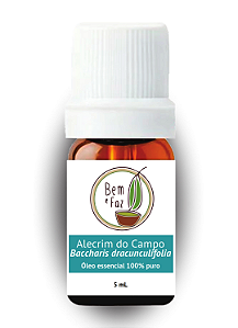 Óleo essencial Alecrim do Campo