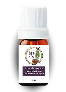 Óleo essencial Lavanda Dentata