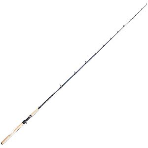 Vara Intergreen Safira Sfc-66mh-1 10-20lb Pe 40lb 1,98m carretilha