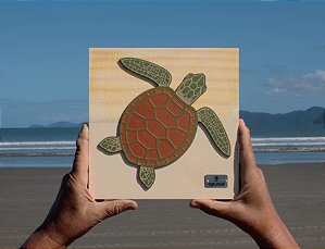 Placa Tartaruga