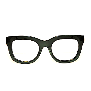 Óculos de Grau Gustavo Eyewear G57 1 verdes com as hastes fumê. Black November