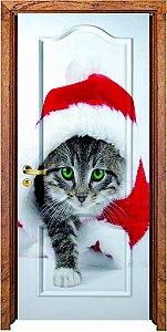Gato Natalino