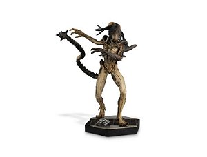 Predalien - Edição 11
