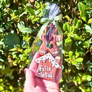 Biscoito Mel Casa Ginger 2PCS SY