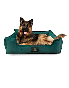 Cama Pet- XG- Suede- Veludo- Verde Escuro- Tradicional