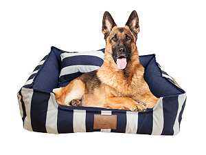 Caminha Pet- XG- Impermeável- Acquablock- Azul