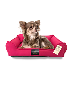 Cama Pet- P- 100% Algodão- Brim- Pink- Tradicional
