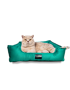 Cama Pet- P- 100% Algodão- Brim- Verde Banedeira- Tradicional