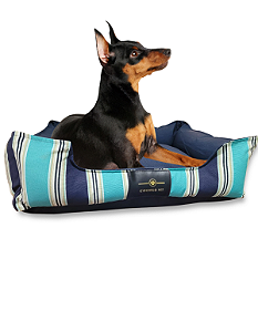 Caminha Pet Cachorro & Gato- P- Impermeável- Acquablock- Azul Listrado