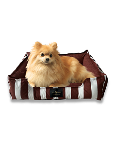 Caminha Pet Cachorro & Gato- M- Impermeável- Acquablock- Marsala Listrado
