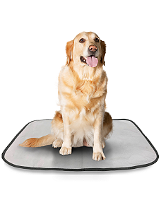 Tapete Higiênico Lavável Premium 10 Unidades Tamanhos Variados Cochilo Pet Impermeável