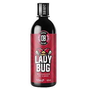 Lady Bug  Restaurador de Vidros 500 ml