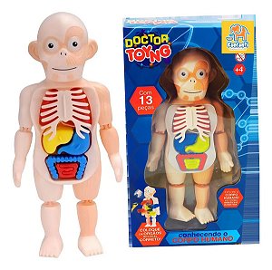 Conhecendo o Corpo Humano – Didático e Interativo