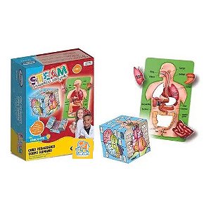 Steam Cubo Corpo Humano