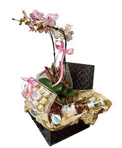 Orquídea Ferrero e Cervejas A beleza do jardim
