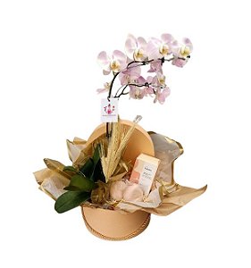 Box Orquídea Com Sabonetes Natura Tododia