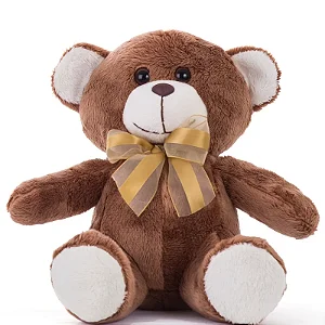 Urso De Pelúcia 30 cm - Xande