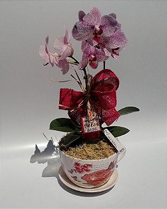 Orquídea na Xícara