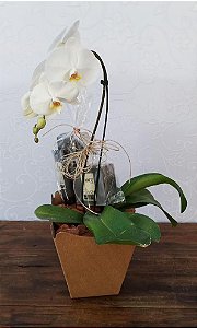 Orquídea com Sabonete e Creme de Barbear Natura