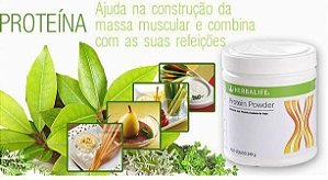 PROTEÍNA 240G