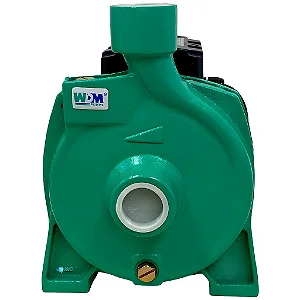 Bomba Centrifuga RE 1 WDM 1,0CV IP44 Monofásico 127/220V 60HZ