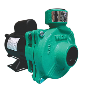 Bomba Centrifuga EE 1.5 WDM 1,5CV IP21 Monofásica 110/127/220/254V 60HZ