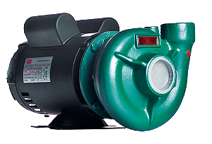Bomba Centrífuga Thebe THB-13 3,0CV IP21 Monofásica 127/220V Motor Nova