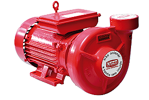 Bomba Thebe THSI-18 4,0CV IP55/IR3 Trifásica 4V RT 132 Motor Thebe