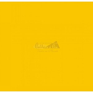 Tricoline Lisa Cor 1450 100% Algodão Tt201471(Amarelo Ouro)