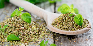 Orégano Prremium 100g