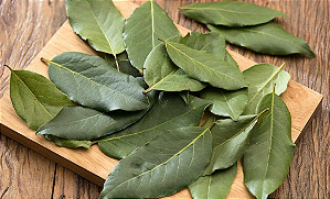 Folha de Louro 50g - Ultra Empório