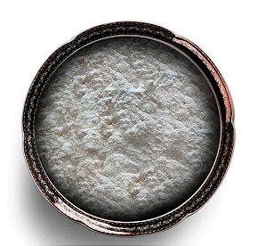 Polvilho Azedo 500gr - Ultra Empório