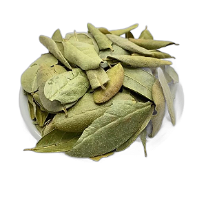 Boldo do Chile 100Gr