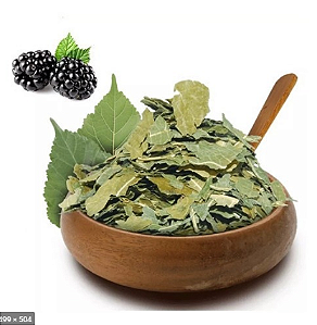 Folha de Amora 100Gr