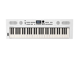 Teclado Sintetizador Roland Go Keys 5 Wh (Branco)