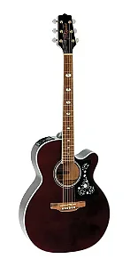 Violao Aço Eletrico Takamine Gn 75 CE WR