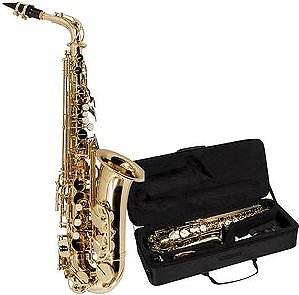 Sax Alto Vogga VSAS 701 N