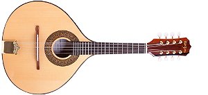 Bandolim Eletrico Rozini Rb 22 Natural Jacaranda