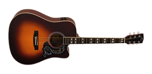 Violao Michael VMF 440 SV