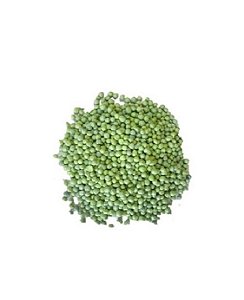 5kg Basacote Plus 16-8-12 (6M), Adubo Fertilizante de Liberação Lenta,  Cactos, Suculentas, Rosa do Deserto, Orquídeas e etc...