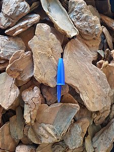 2kg Casca de Pinus Tamanhos Mini, P ou M - Orquídeas e Jardim