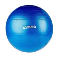 BOLA SUICA PREMIUM - 65CM - AZUL