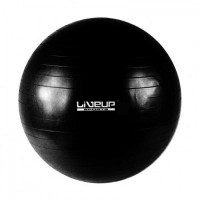 BOLA SUICA PREMIUM - 65CM - PRETA