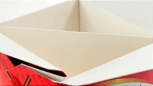 CH6 - Separador Executivo para CH1 e CH1B – 100 Unidades | Ideal para Delivery Oriental