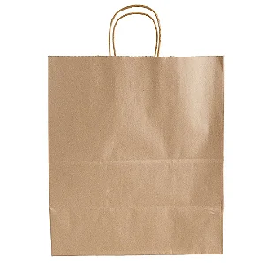 BAG01- 100 unid - Sacola com alça para delivery média