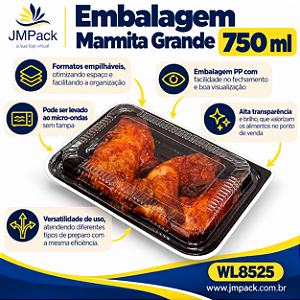 10 un – Embalagem Marmita Grande 750ml com Tampa Transparente