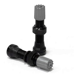 Valvula Bico Grosso Para Tubeless Selante Absolute Schrader Pto