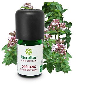 Óleo Essencial de Orégano Terra-Flor 5ml