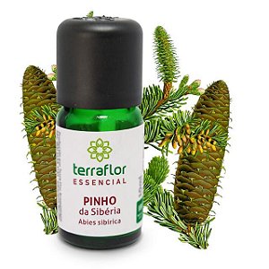 Óleo Essencial de Pinho da Sibéria Terra-Flor 10ml